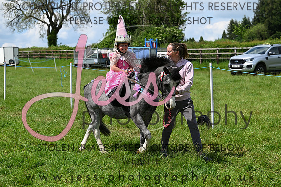 NCHPC2R1 (221)