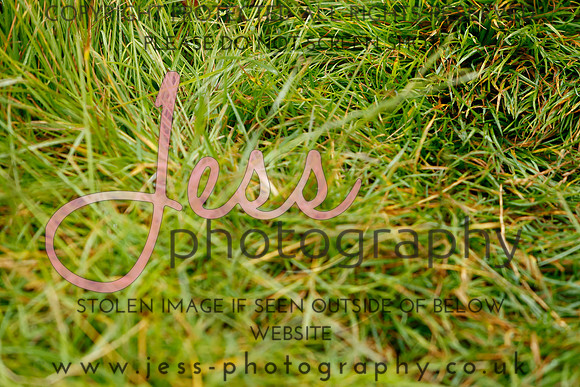 _MGM0598
