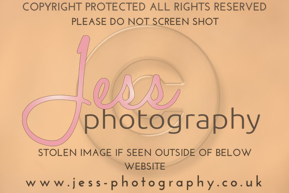TSJ_0929