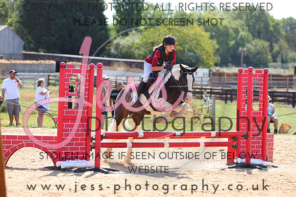 TSJ_0956
