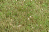 JPG_6333