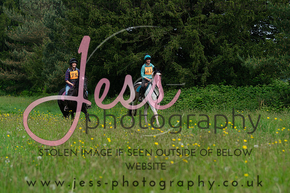 JES_8184