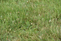 JPG_6778