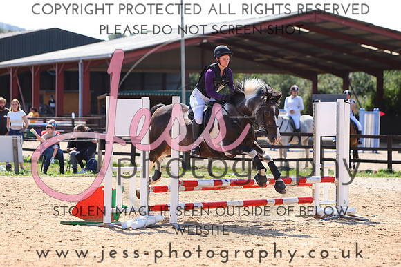 TSJ_0977