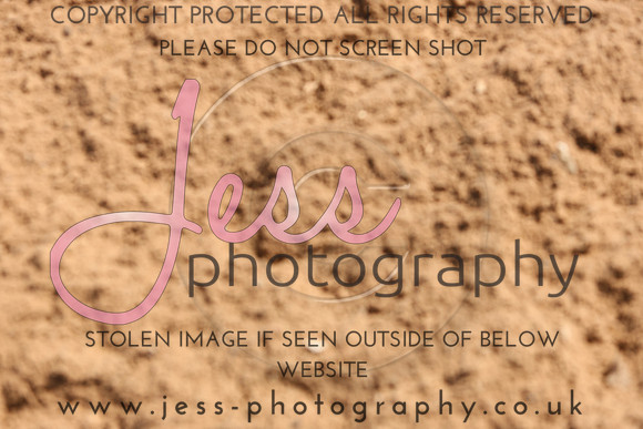 TSJ_0972