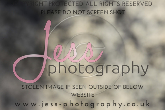 JES_6003