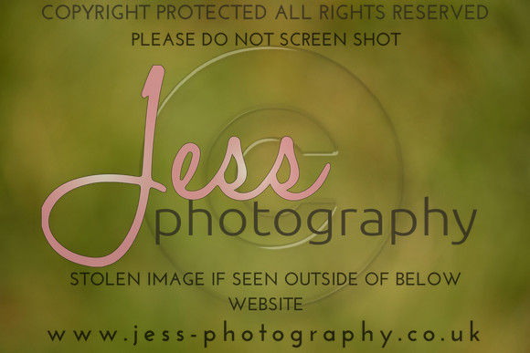 JES (39)