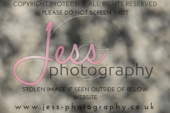 JES_5688