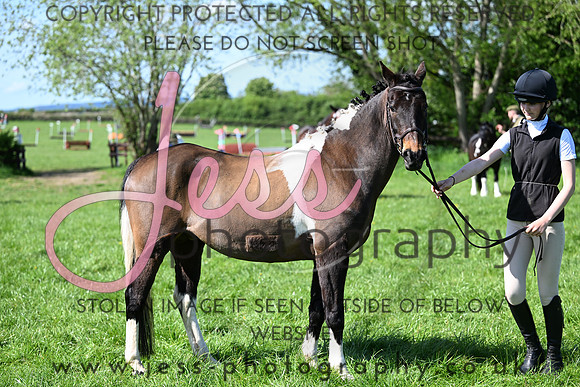 TGIS (139)