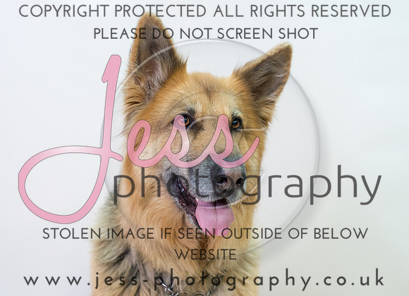 JES_6090