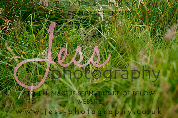 _MGM0463