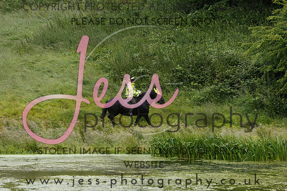 _MGM0553