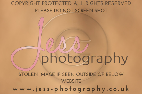 TSJ_0632