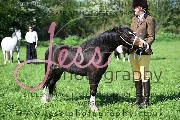 TGIS (235)