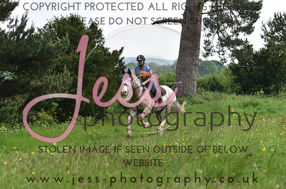 JES_8464