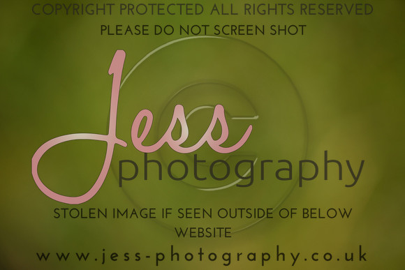 JES (74)