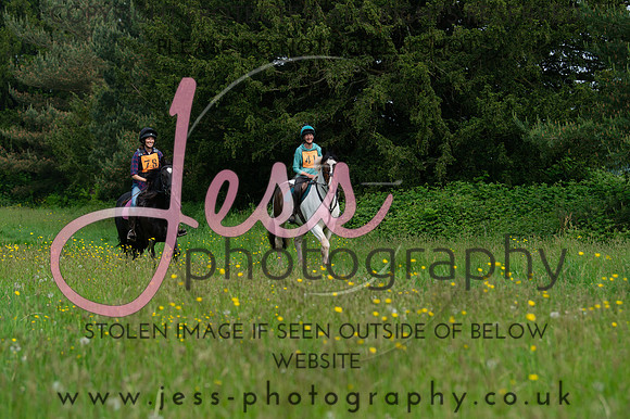JES_8183