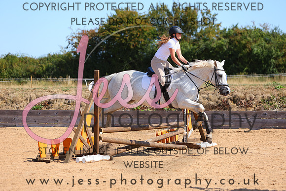 TSJ_0768