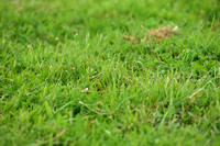 JPG_2753