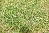 JPG_6559
