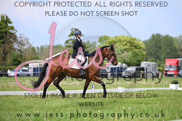 Ace1 (50)