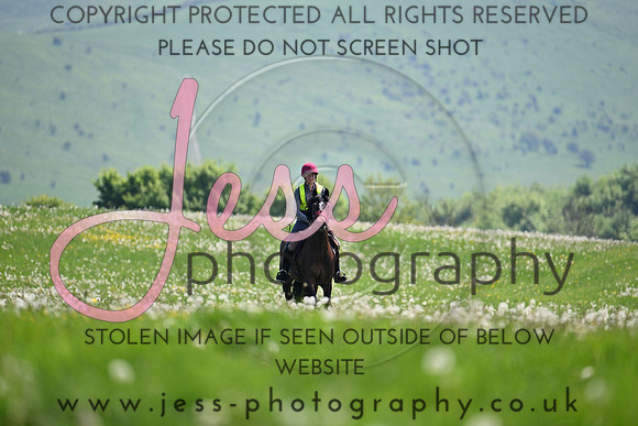 JES_6239