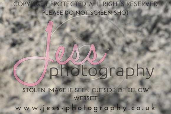JES_6503