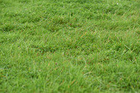 JPG_7920