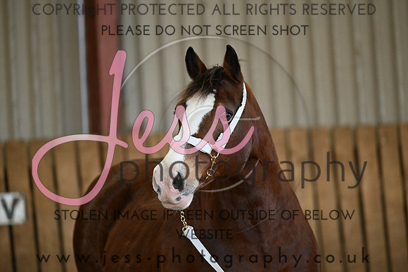 IH (82)