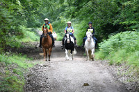 BHS Gloucestershire Forest of Dean Pleasure Ride