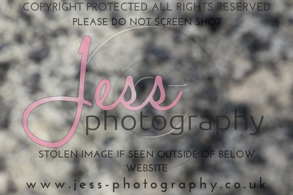 JES_6050