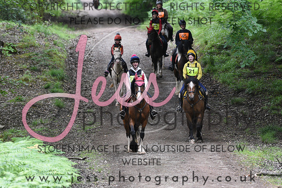 BHS (104)