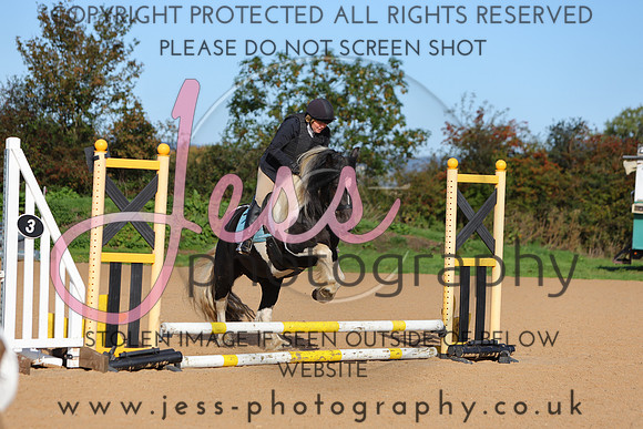 TSJ_0205