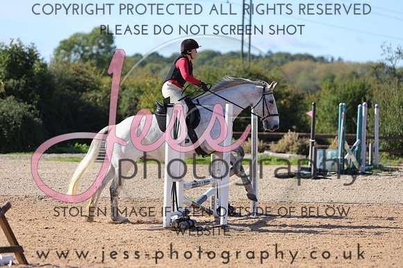 TSJ_0482