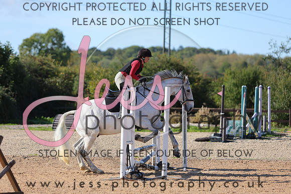 TSJ_0393