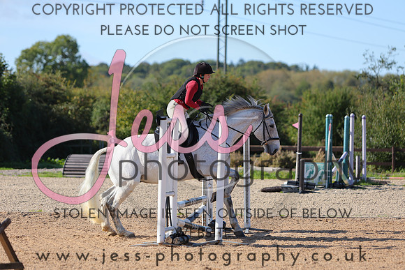 TSJ_0394