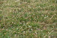 JPG_7203