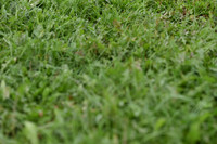 JPG_1147