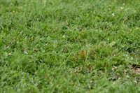 JPG_1156