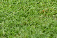 JPG_1244