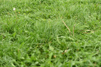 JPG_1502