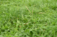 JPG_1512