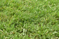 JPG_1558