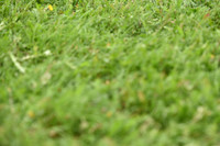 JPG_1569