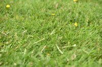 JPG_1750