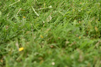 JPG_1761