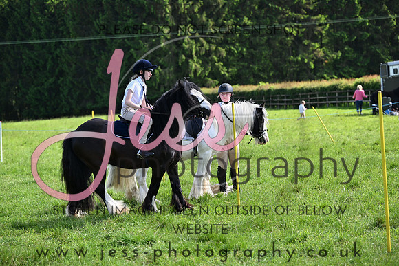 JES_2010