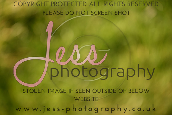 TGHT (116)