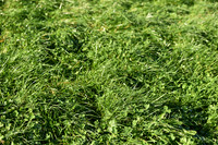 JPG_2284