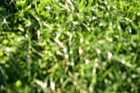 JPG_2303
